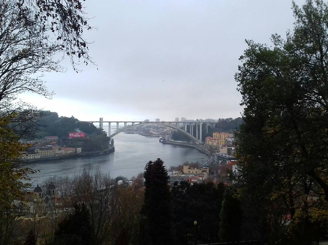 IMG_20171211_162212_364