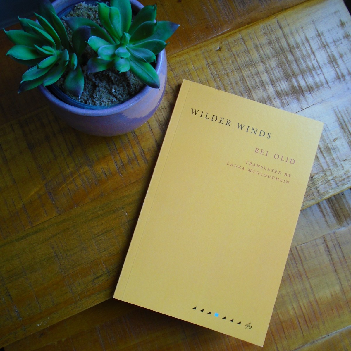 Review: Wilder Winds by Bel&nbsp;Olid