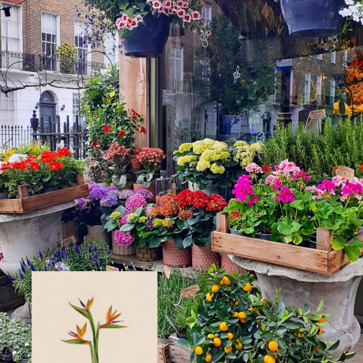 Review: Satisfaction by Nina&nbsp;Bouraoui